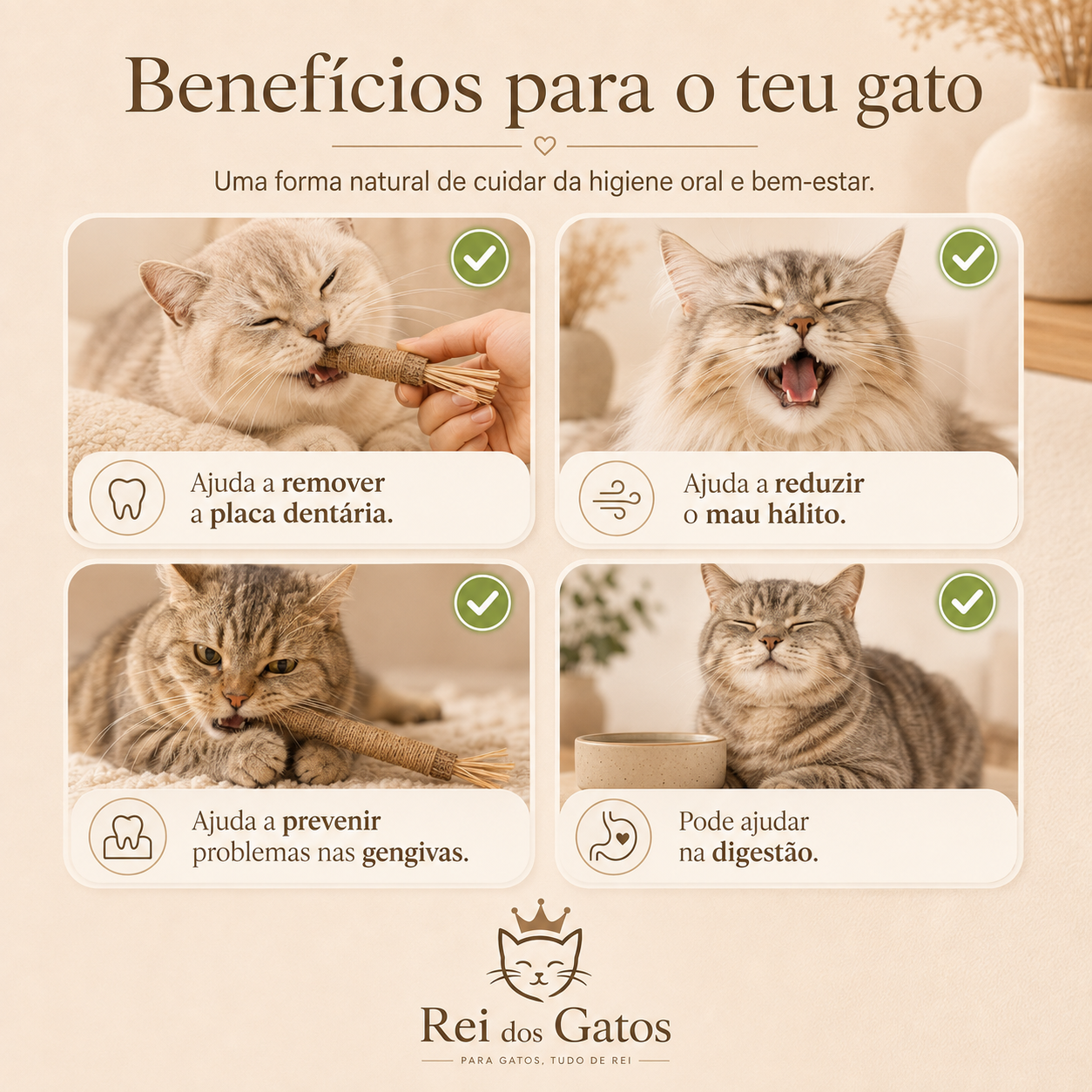 Brinquedo Natural Gato 3